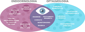 infografica